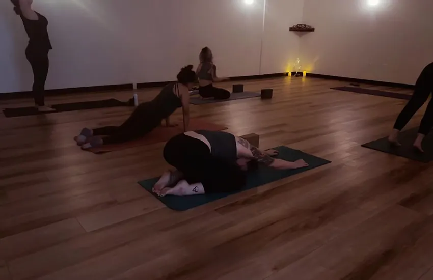 Protea Movement Studio