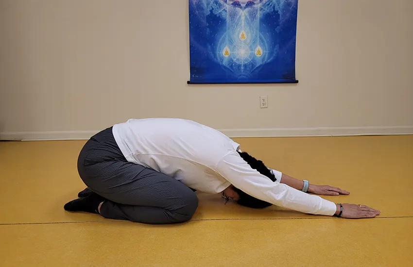 Body & Brain Yoga Tai Chi