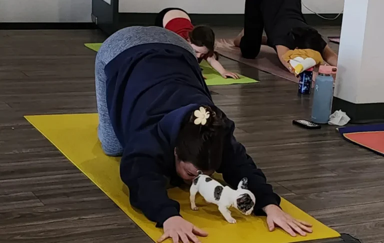 Drishti Yoga Tucson
