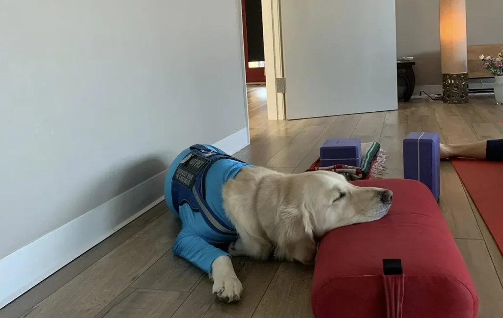 Fusion Yoga Studio Sacramento