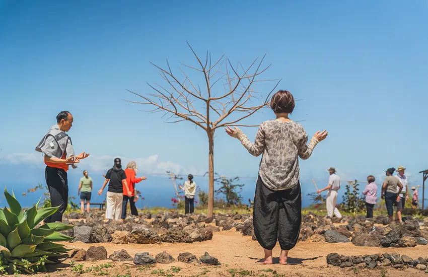 Body & Brain Yoga Tai Chi