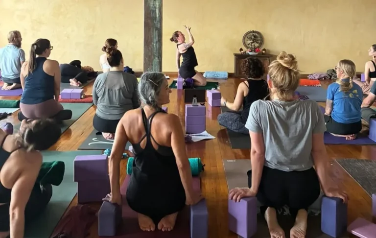 Yoga Oasis