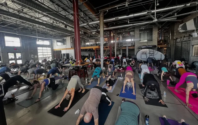 Yoga Oasis