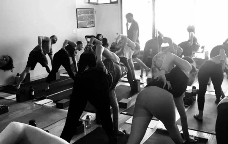 Yoga Oasis