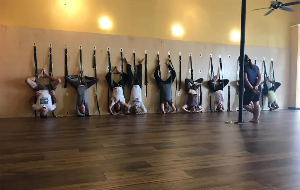 Austin Yoga Tree